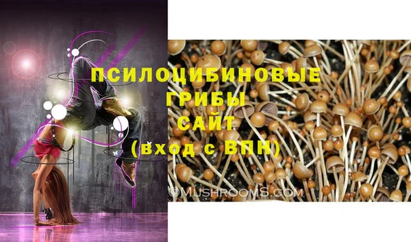 гидропоника Козловка
