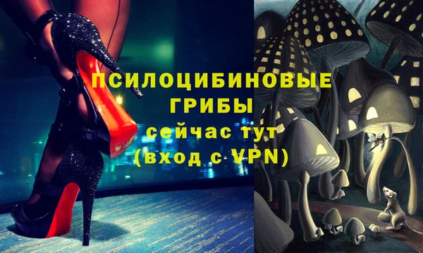 a pvp Кодинск
