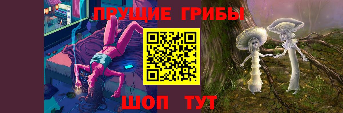 Псилоцибиновые грибы Psilocybe  Каспийск  Псилоцибиновые грибы мухоморы 