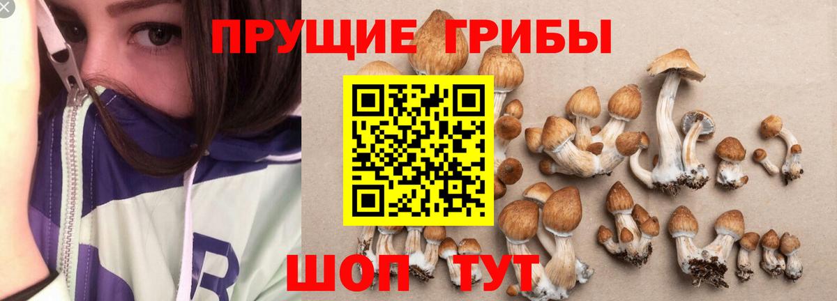 где продают   Вход с VPN  Каспийск  Галлюциногенные грибы Magic Shrooms 